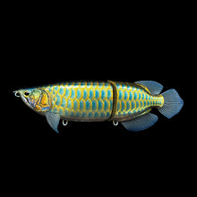 Load image into Gallery viewer, The Sumeragi