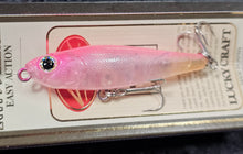 Load image into Gallery viewer, NW-99