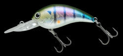 Worming Crank Shot Full Size – The Hook Up Tackle