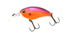 Load image into Gallery viewer, IKE-100 Shallow Crankbait