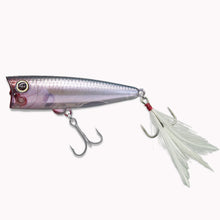 Load image into Gallery viewer, MOGOT