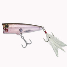 Load image into Gallery viewer, MOGOT