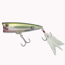 Load image into Gallery viewer, MOGOT