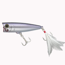 Load image into Gallery viewer, MOGOT