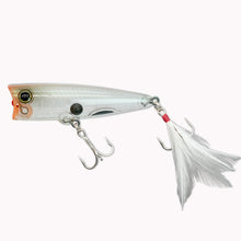 Load image into Gallery viewer, MOGOT