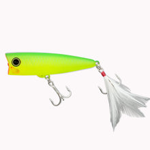 Load image into Gallery viewer, MOGOT