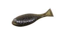 Load image into Gallery viewer, Baby Gill Fin 2