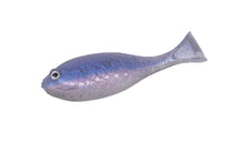 Load image into Gallery viewer, Baby Gill Fin 2