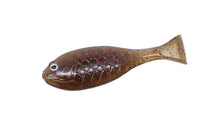 Load image into Gallery viewer, Baby Gill Fin 2