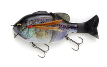 Load image into Gallery viewer, Gill Roid Junior Buffalo Horn Hook