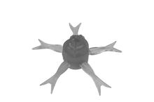 Load image into Gallery viewer, Jimmy Henge 42