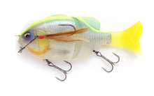 Load image into Gallery viewer, Gill Roid Junior Buffalo Horn Hook