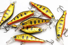 Load image into Gallery viewer, Pointer 48 Sinking