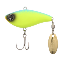 Load image into Gallery viewer, BT Spin