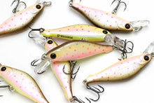 Load image into Gallery viewer, Pointer 48 Sinking