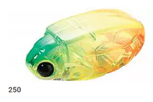 Load image into Gallery viewer, Bun 30F