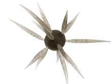 Load image into Gallery viewer, Coike Fish Elastomer L