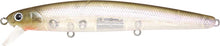 Load image into Gallery viewer, Flash Minnow 110SP
