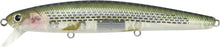 Load image into Gallery viewer, Flash Minnow 110SP