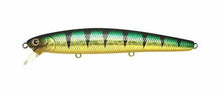 Load image into Gallery viewer, Flash Minnow TR 85SP