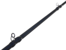 Load image into Gallery viewer, Form 01 Swimbait Rods