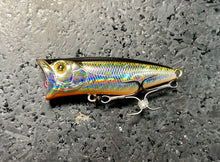 Load image into Gallery viewer, Mogul Pop'N Chug