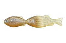 Load image into Gallery viewer, GillGill