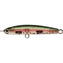 Load image into Gallery viewer, Wander 45S