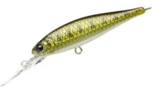 Load image into Gallery viewer, Pointer 78DD