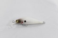 Load image into Gallery viewer, Ho-Ki Minnow 50S