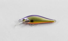 Load image into Gallery viewer, Ho-Ki Minnow 50S