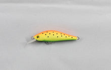 Load image into Gallery viewer, Ho-Ki Minnow 50S