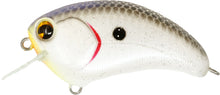 Load image into Gallery viewer, Bill Lowen Square Bill Crankbait