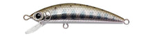 Load image into Gallery viewer, Humpback Minnow 50S