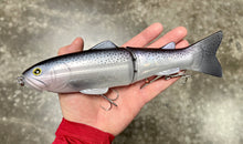 Load image into Gallery viewer, Slide Swimmer 250