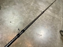 Load image into Gallery viewer, Outlier Swimbait Rods