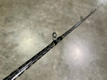 Load image into Gallery viewer, Explorer Glide Bait Rod