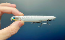 Load image into Gallery viewer, Skimmer