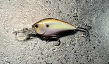 Load image into Gallery viewer, LC DD DRS Crankbaits