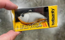 Load image into Gallery viewer, Simplebait Lipless Crankbait