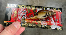 Load image into Gallery viewer, LC DD DRS Crankbaits