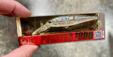 Load image into Gallery viewer, Pointer 78DD