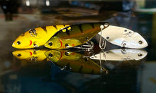 Load image into Gallery viewer, ILV 50