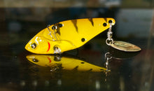 Load image into Gallery viewer, ILV 50