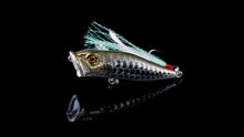 Load image into Gallery viewer, Year of the Dragon Limited Edition Baits