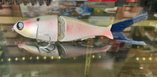 Load image into Gallery viewer, Chimera Shad