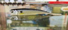 Load image into Gallery viewer, Fish Roller