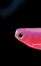 Load image into Gallery viewer, BENto Box 2025 final boxes