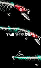 Load image into Gallery viewer, BENto Box 2025 final boxes