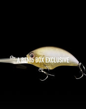 Load image into Gallery viewer, BENto Box 2025 final boxes